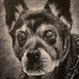 Meet your Posher, Endraven